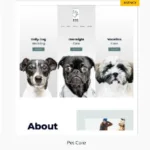 Astra Premium Starter Templates