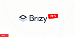 Brizy Pro - The Best WordPress Builder Plugin