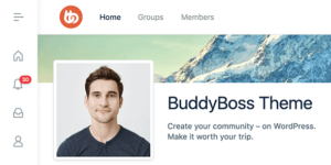 BuddyBoss Platform Pro