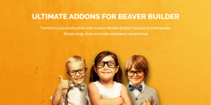 Ultimate Addons for Beaver Builder