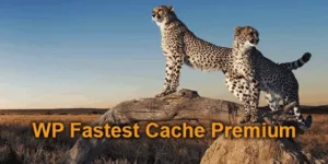 WP Fastest Cache Premium